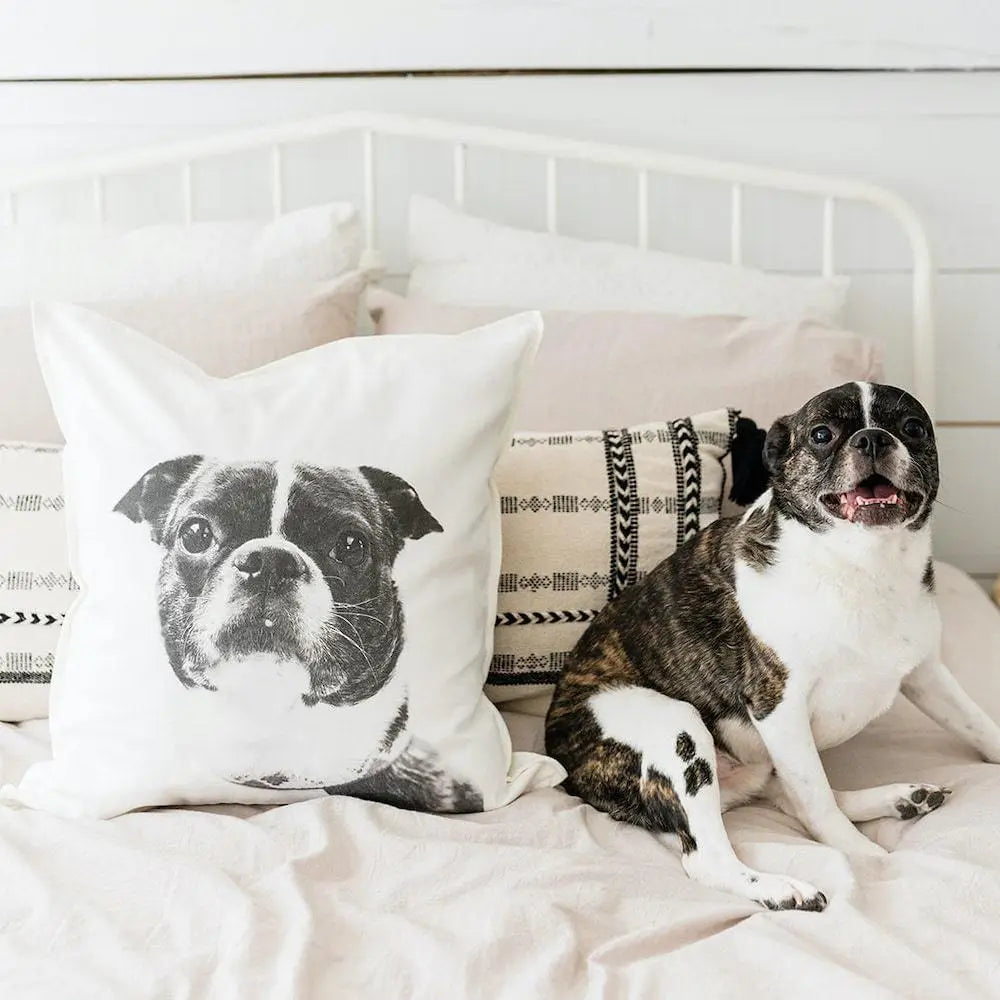 Throw Pillow Cover