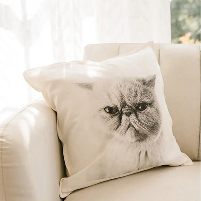Throw Pillow Cover