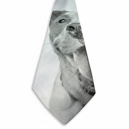 Neck Tie