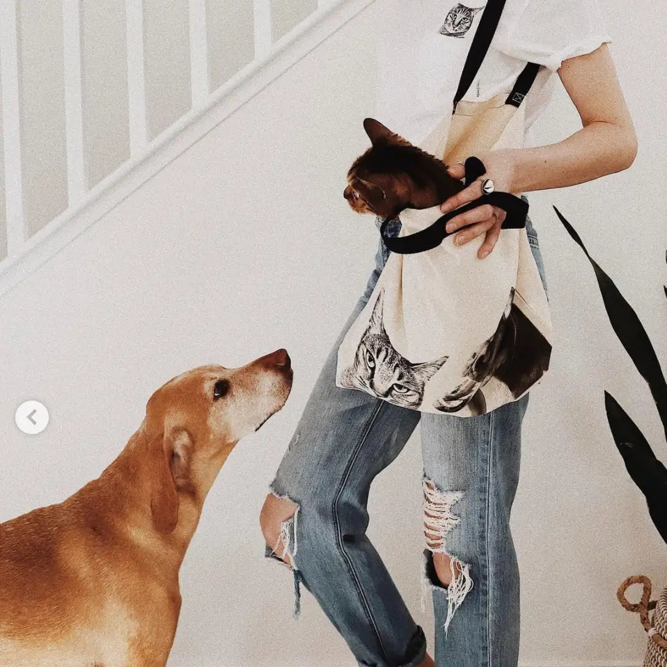 Canvas Tote Bag