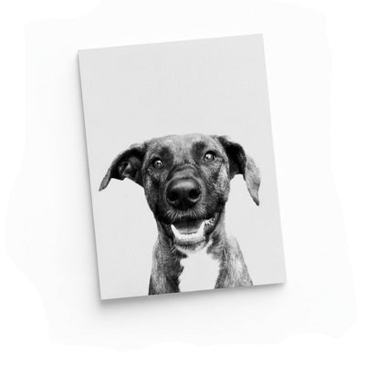Pet Portrait - Unframed