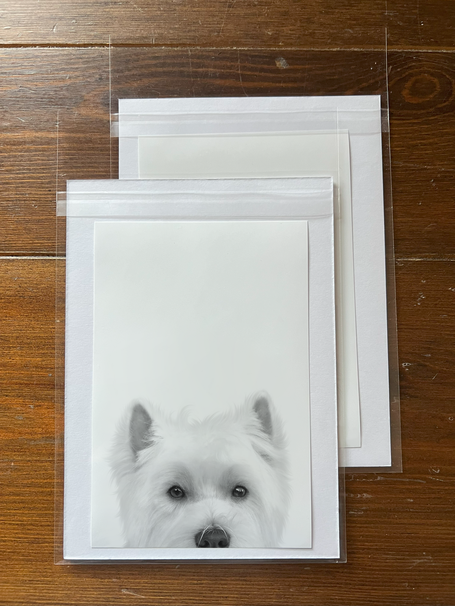 Peeking Pet Unframed Print