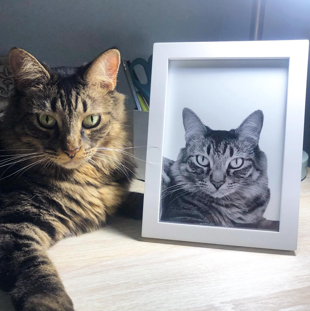 VIP White Framed Print