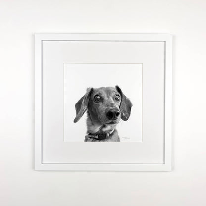 White Framed Perkie Print