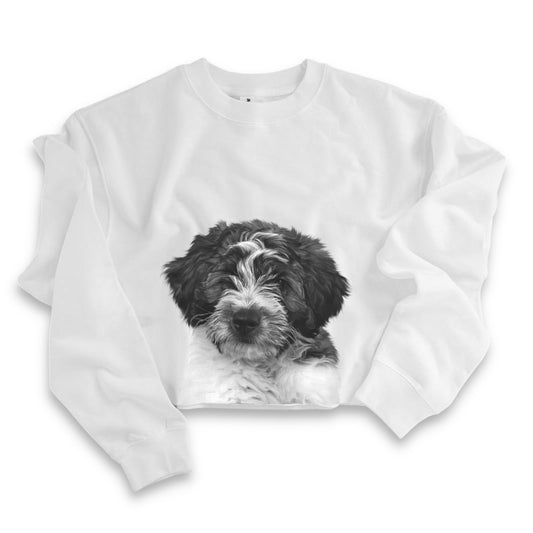 Cropped Crew Sweatshirt