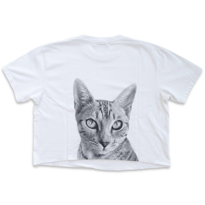 Pet-In-Pocket Cropped Tee - Pocket & Back Graphic