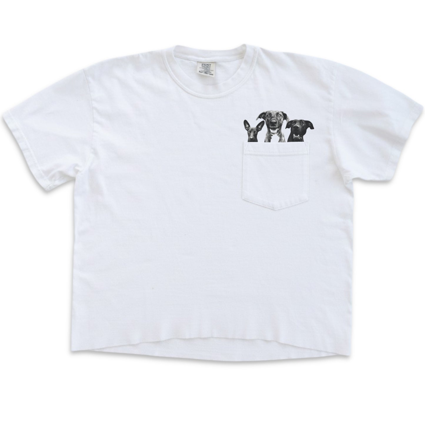 Pet-In-Pocket Cropped Tee