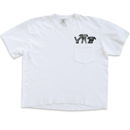 Pet-In-Pocket Cropped Tee