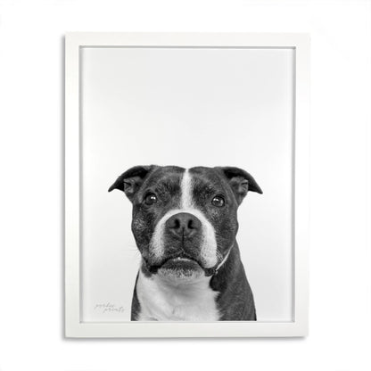 Pet Portrait in White Frame