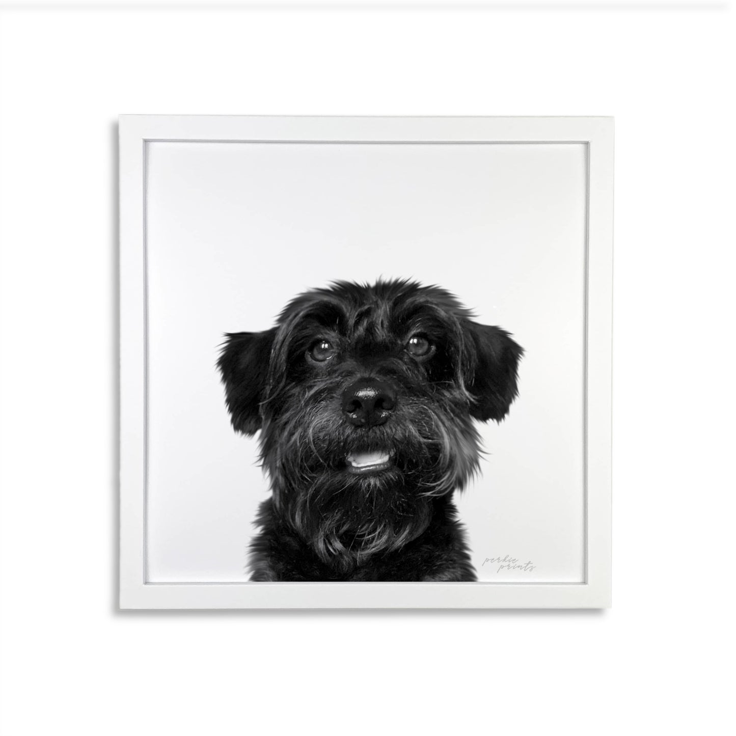 Pet Portrait in White Frame