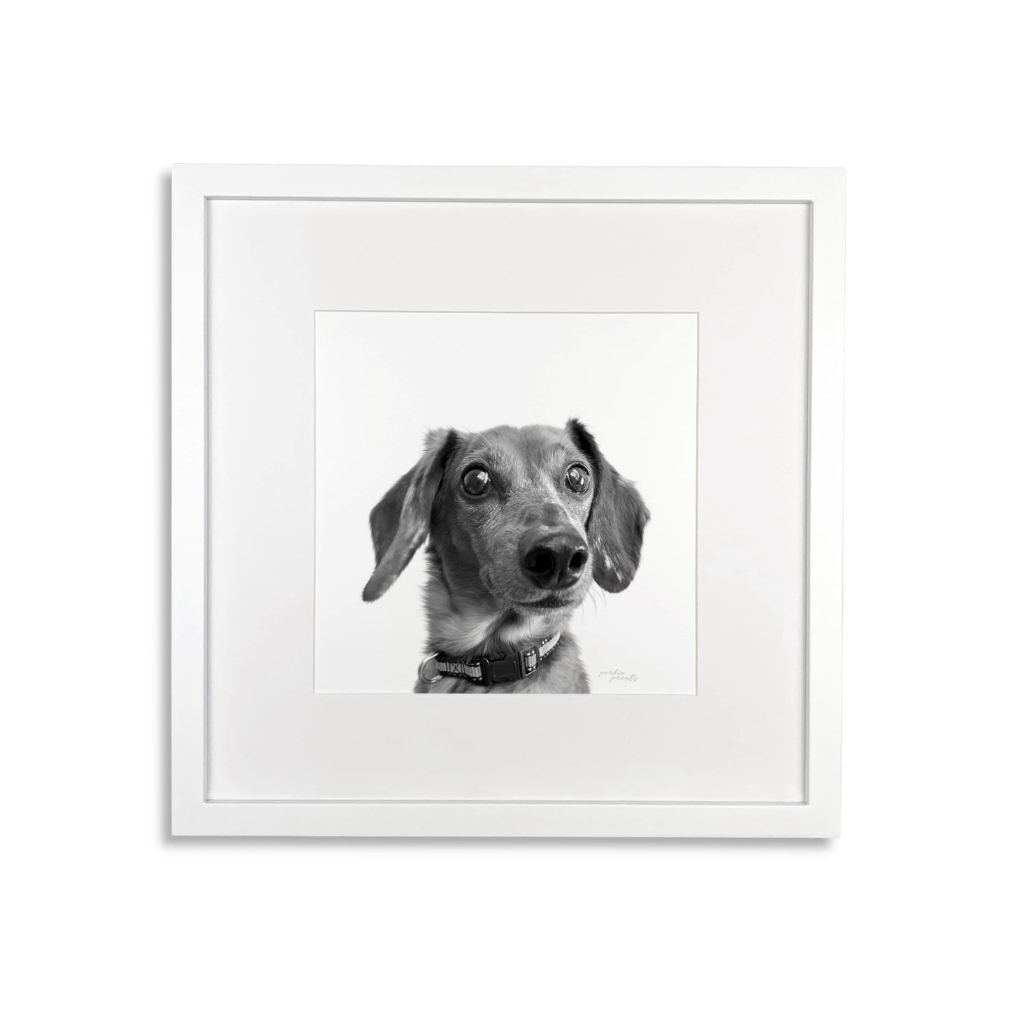 Pet Portrait in White Frame