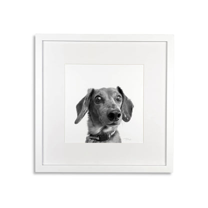 Pet Portrait in White Frame
