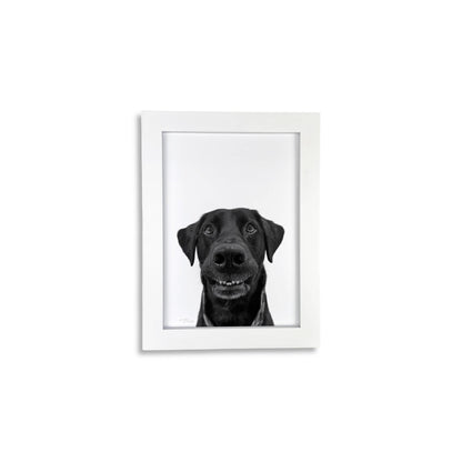 Pet Portrait in White Frame