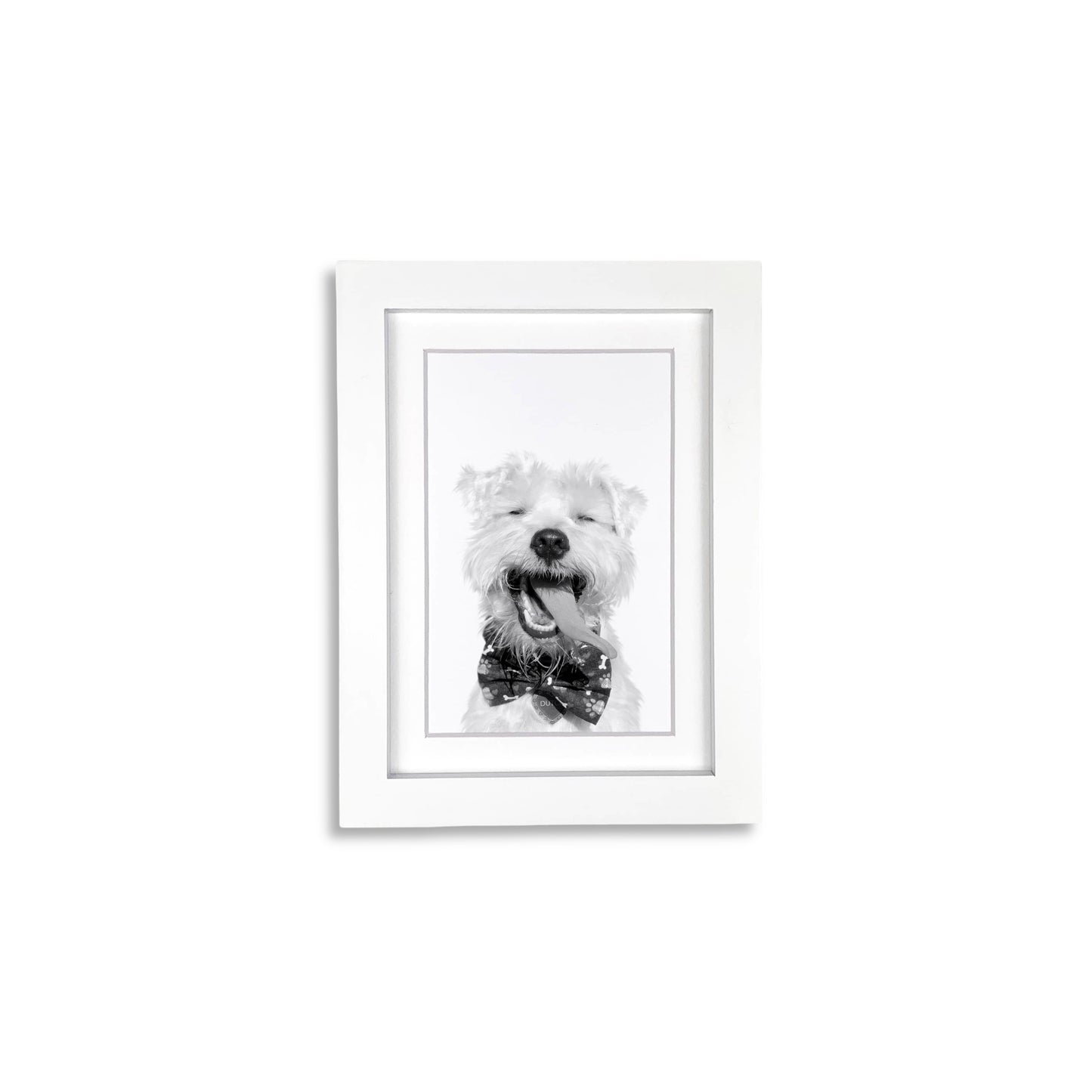 Pet Portrait in White Frame
