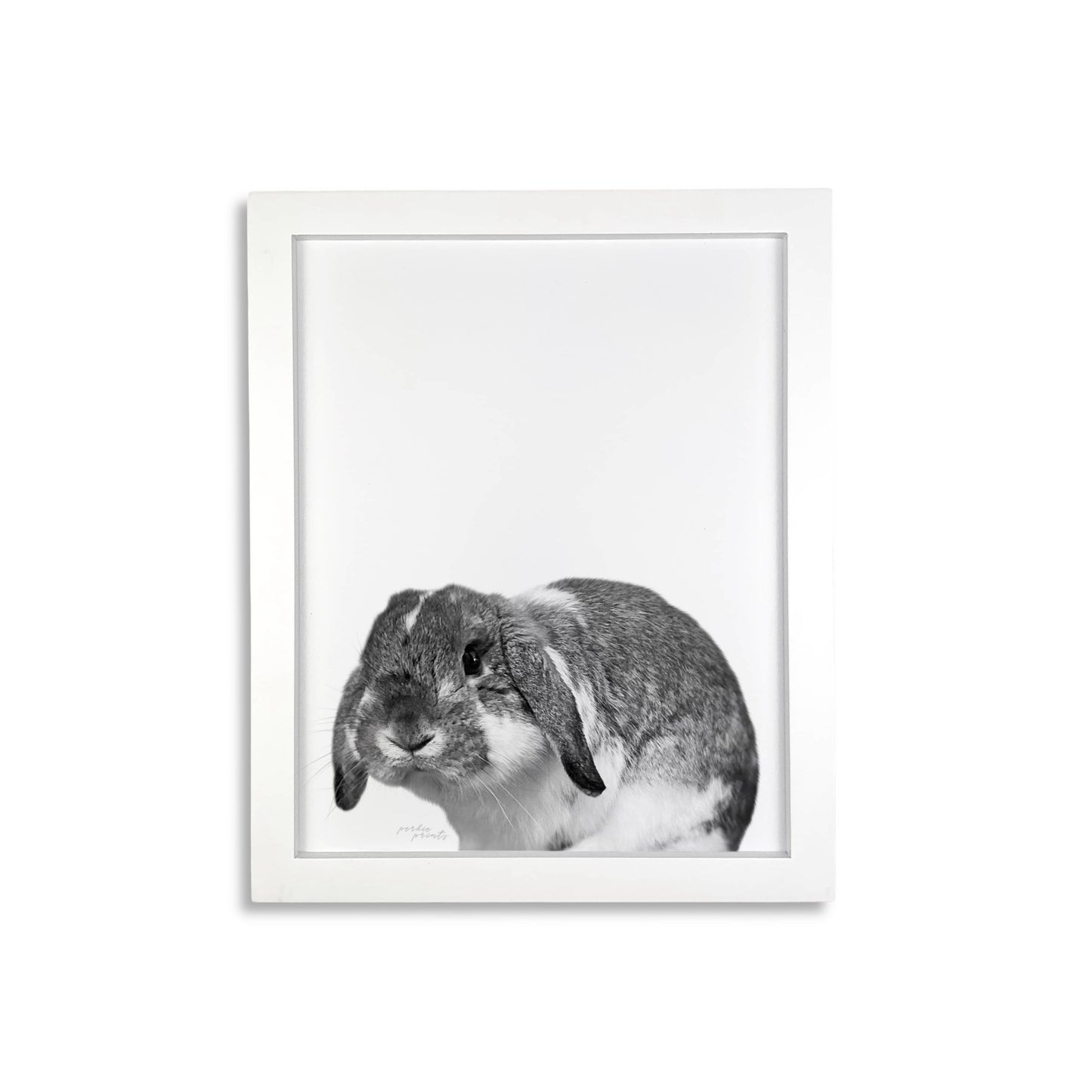 Pet Portrait in White Frame