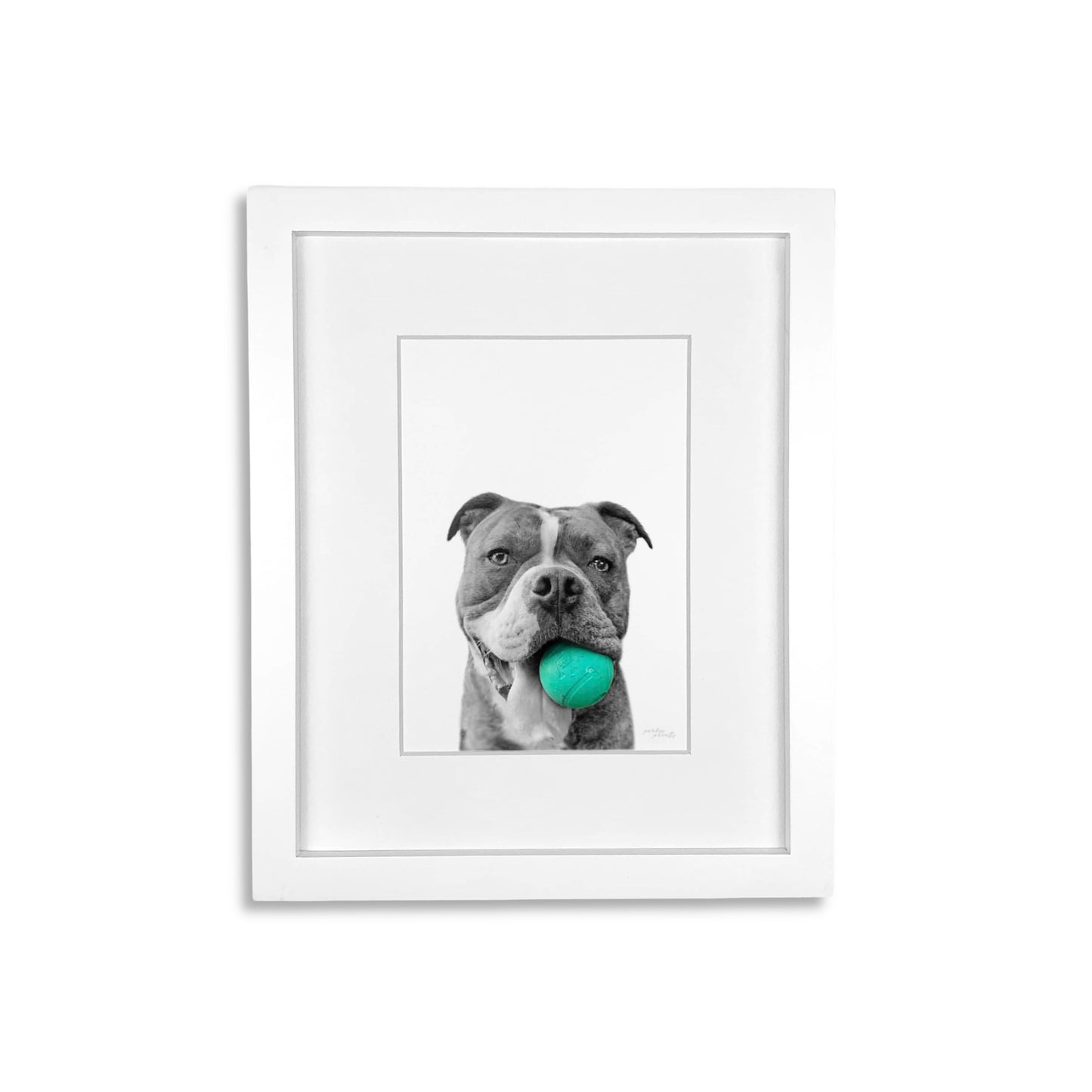 Pet Portrait in White Frame