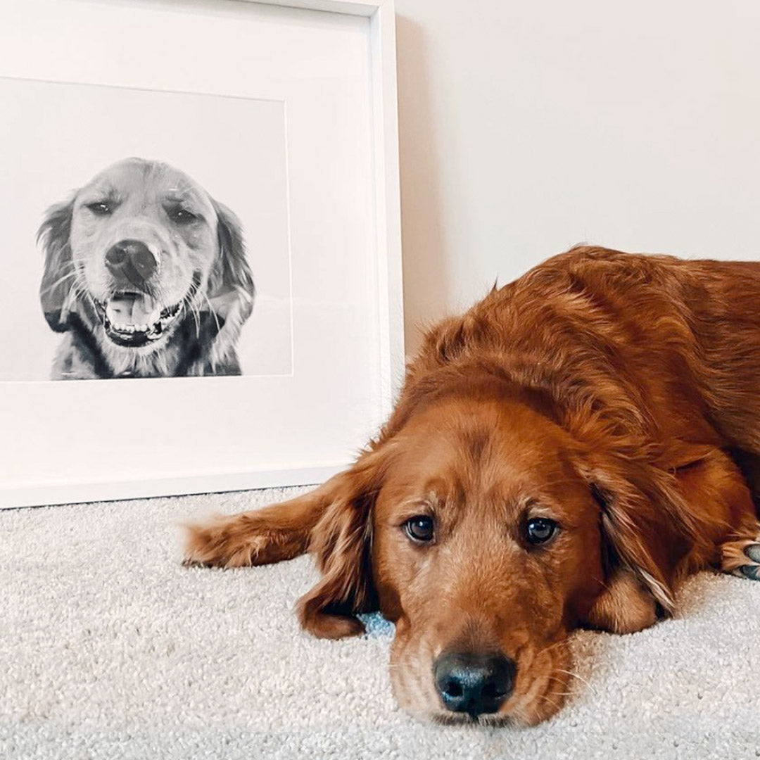Pet Portrait in White Frame