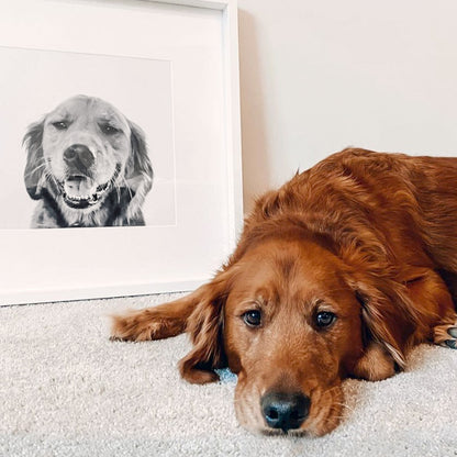Pet Portrait in White Frame