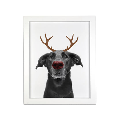 Holiday Pet Portrait in White Frame