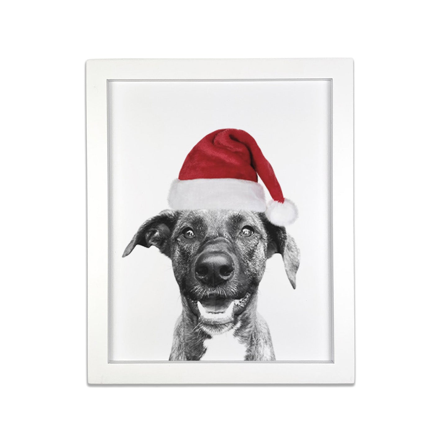 Holiday Pet Portrait in White Frame
