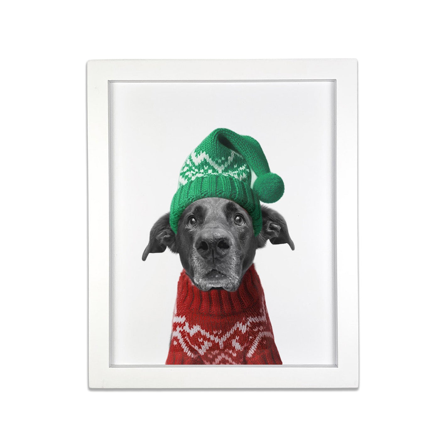 Holiday Pet Portrait in White Frame