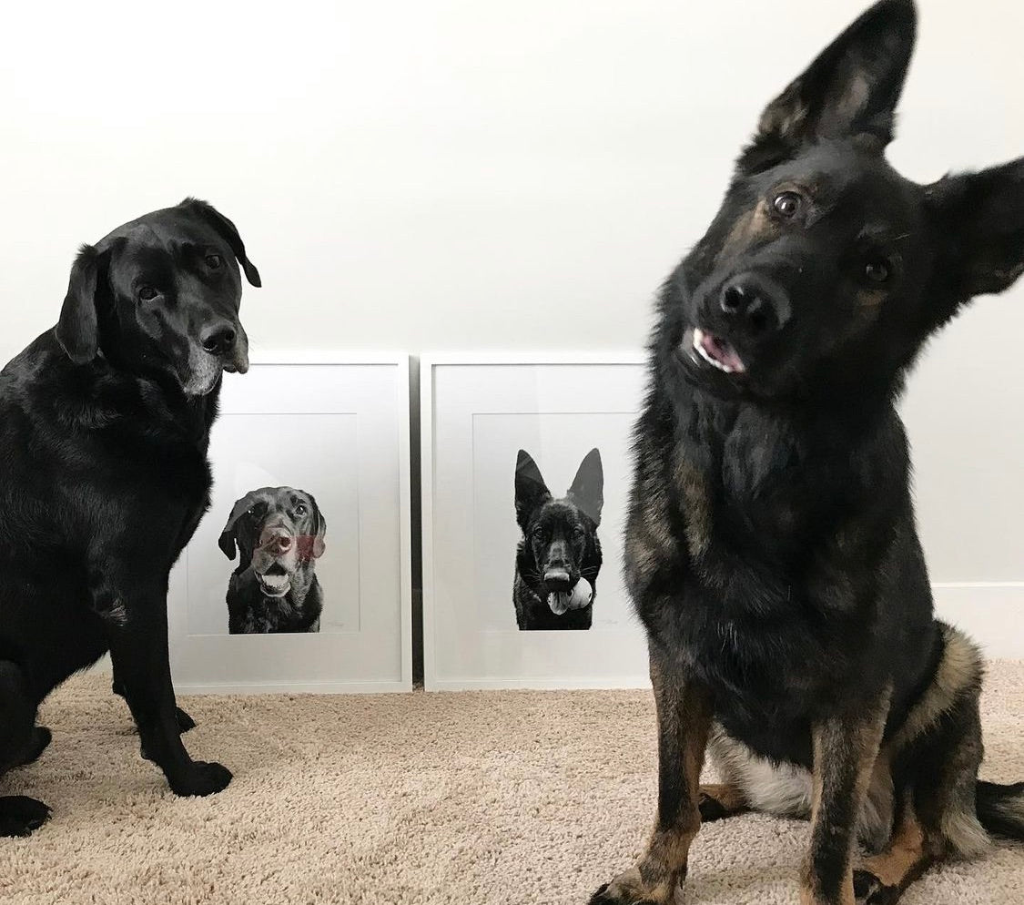 Pet Portrait in White Frame