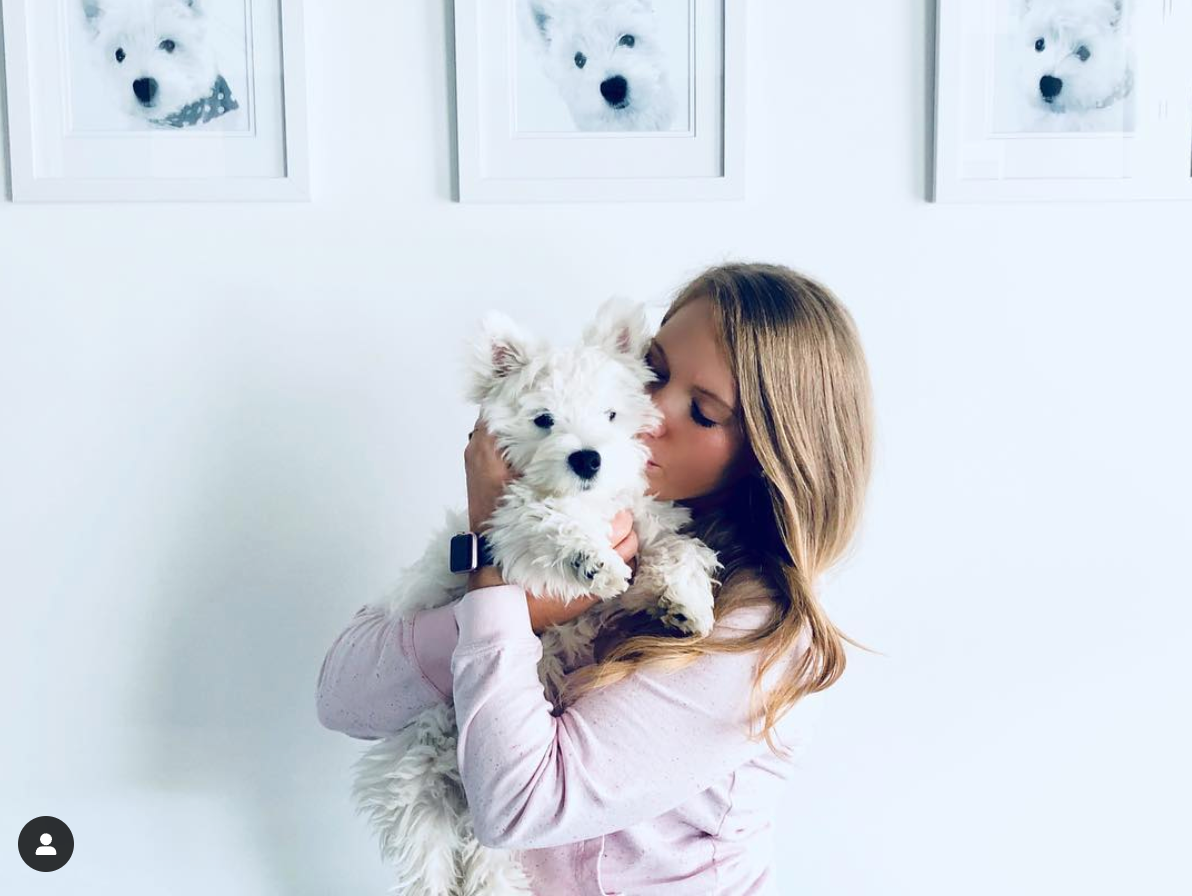 Custom Westie portrait from photo - West Highland White Terrier