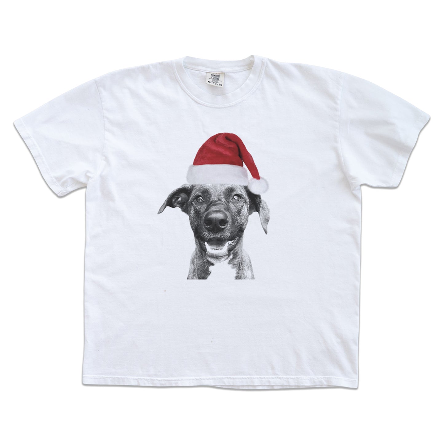 Crew T-Shirt - Santa Hat Graphic