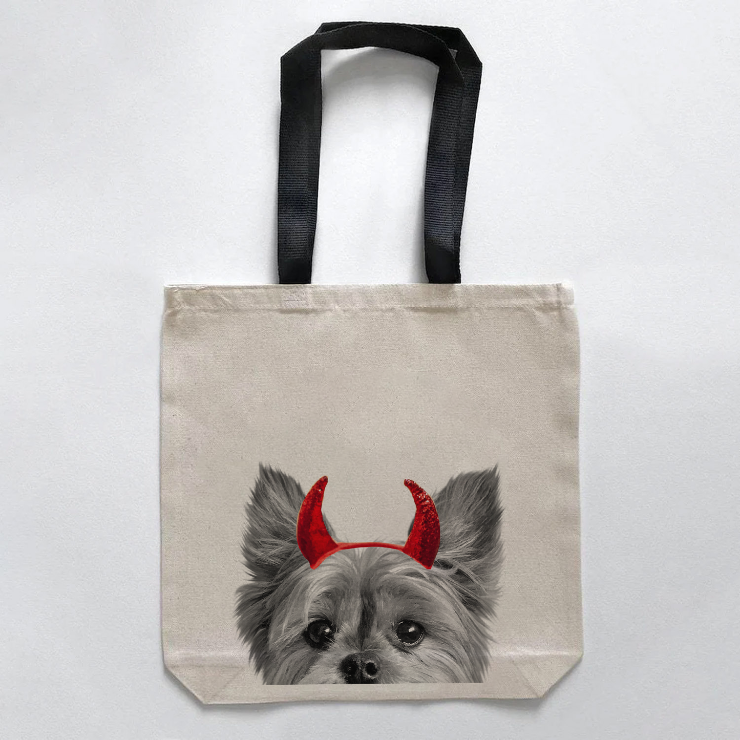 Yorkie