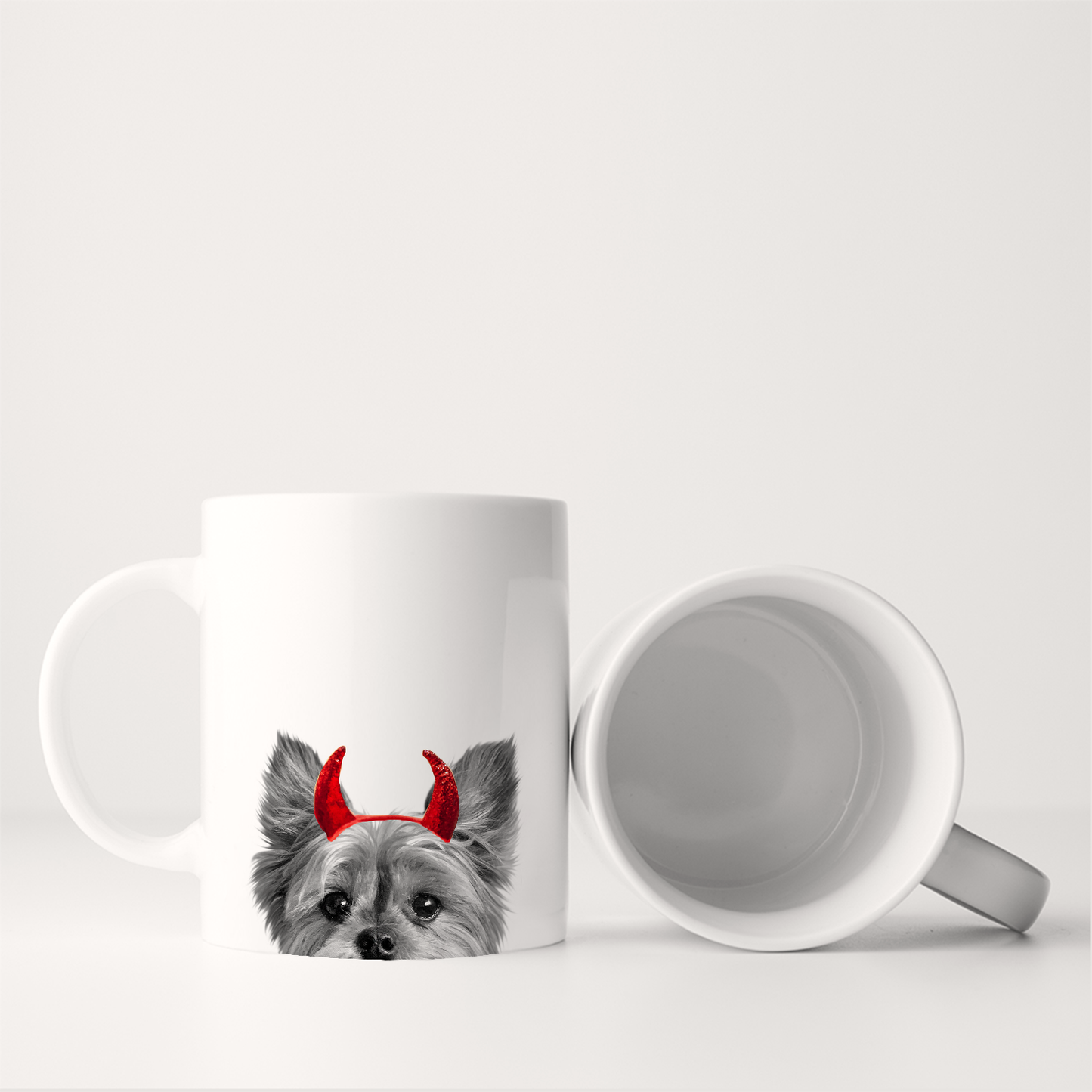 Yorkie