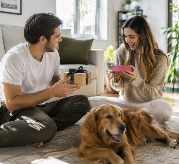 A man and a woman sitting on a rug in a bright living room, smiling as the man holds a small gift box and the woman looks at a pink phone. A golden retriever dog is lying on the rug in the foreground.