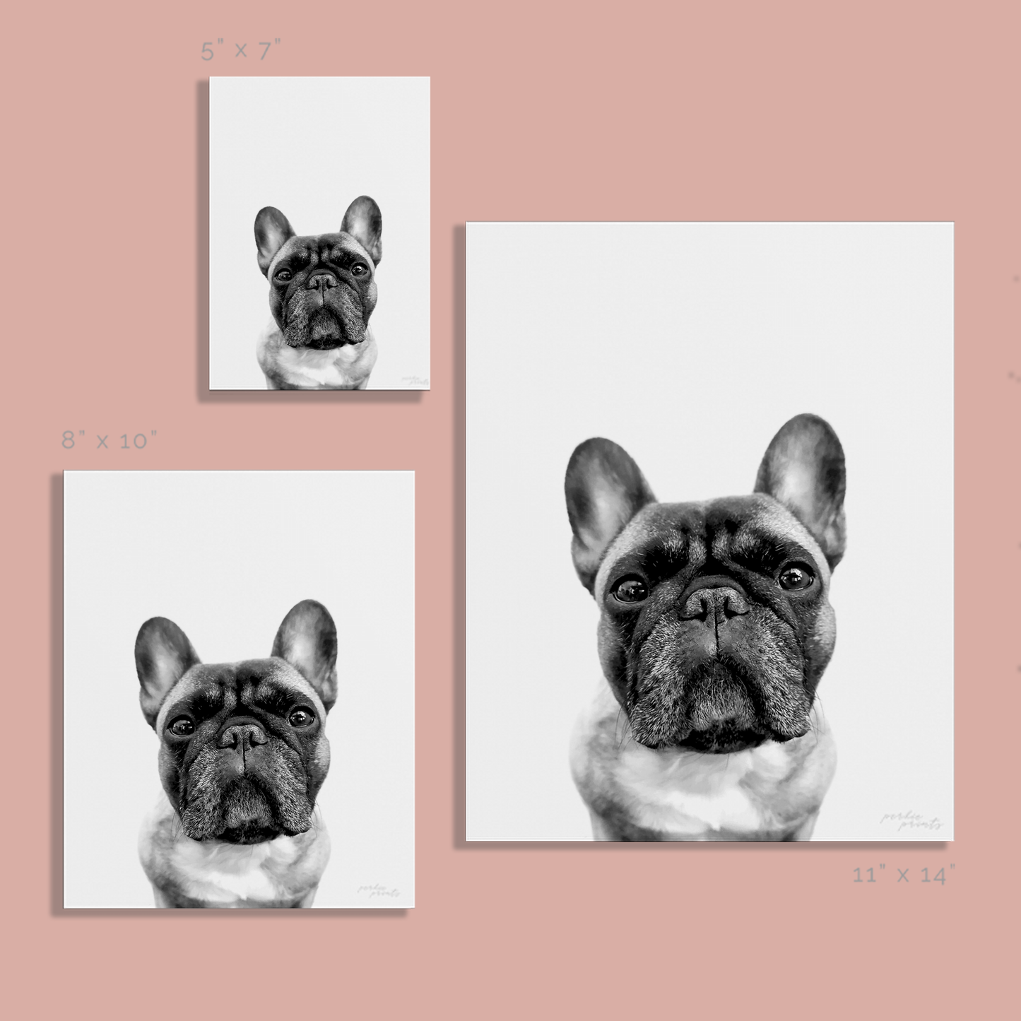 @archerthefrenchie.to Unframed Print