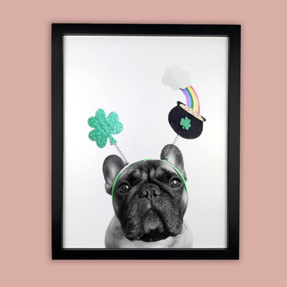 @archerthefrenchie.to - Black Framed Print