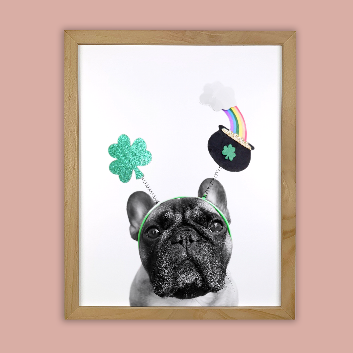 @archerthefrenchie.to Natural Wood Framed Print