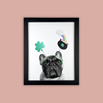 @archerthefrenchie.to - Black Framed Print