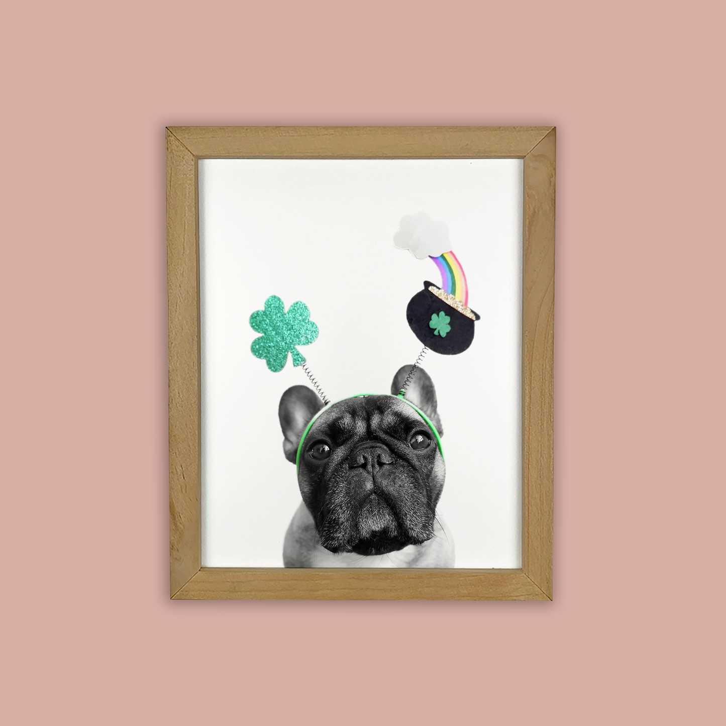 @archerthefrenchie.to Natural Wood Framed Print