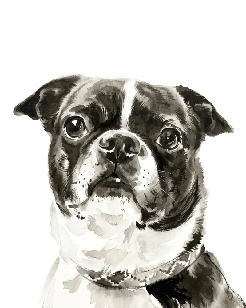 A finished Ink Wash Perkie Print