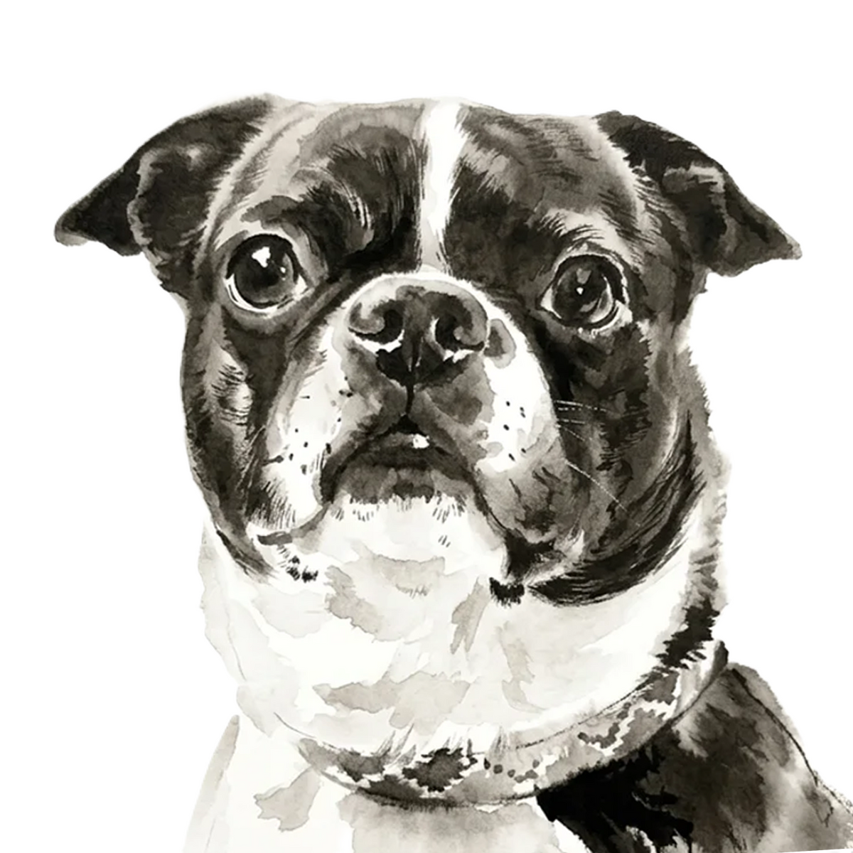 The Perkie Print in Ink Wash