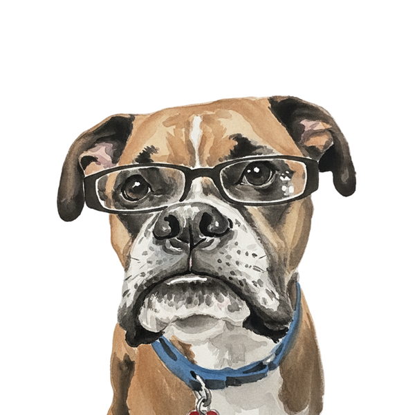 Boxer portrait in Ink Wash style &mdash; custom pet portrait