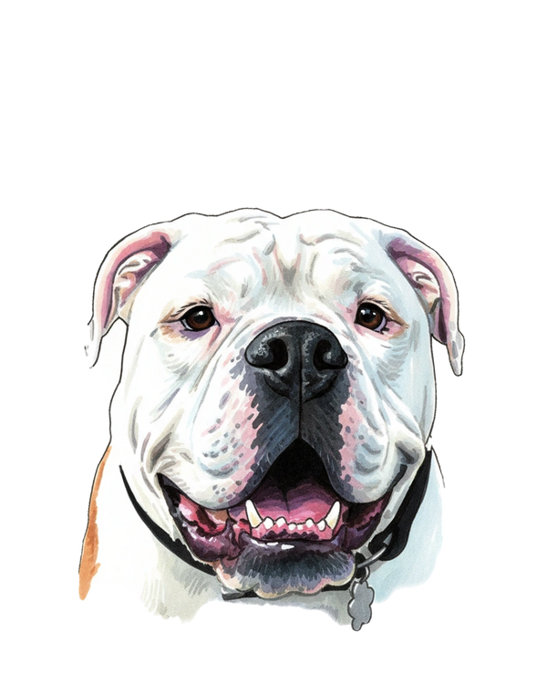 English Bulldog portrait in Marker style &mdash; custom pet portrait