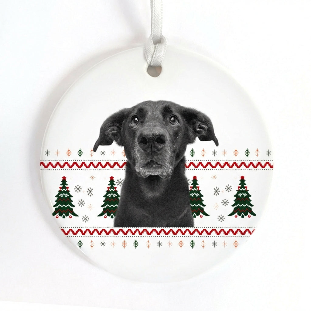 Pet Ornament