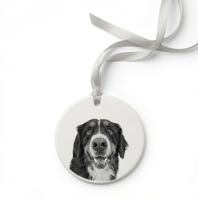 Pet Ornament