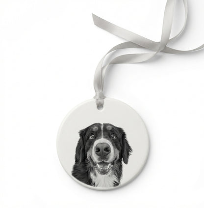 Pet Ornament