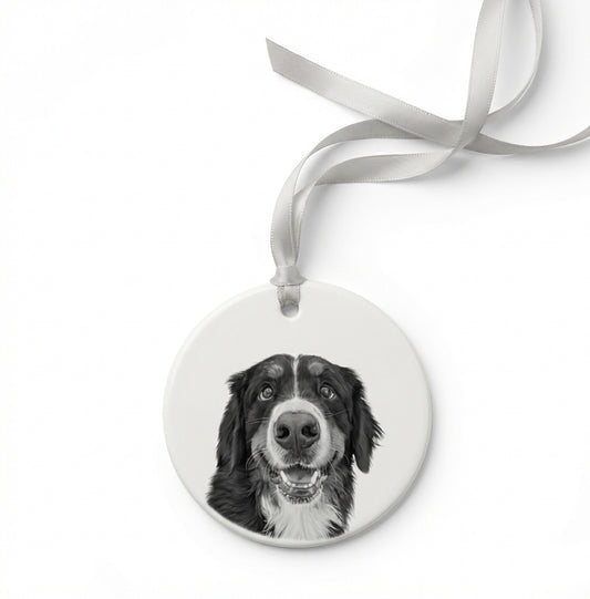 Pet Ornament