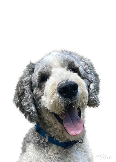 Color pet portrait style example