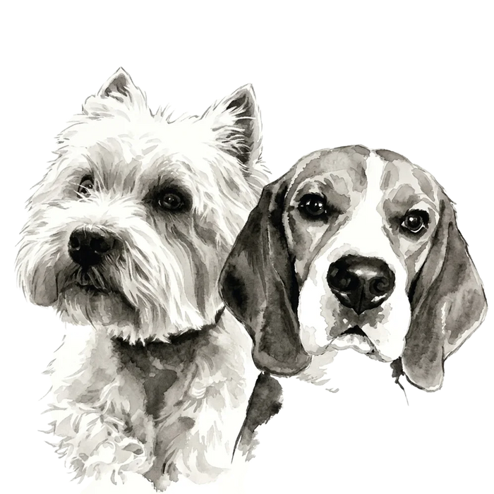 A pet portrait in Ink Wash