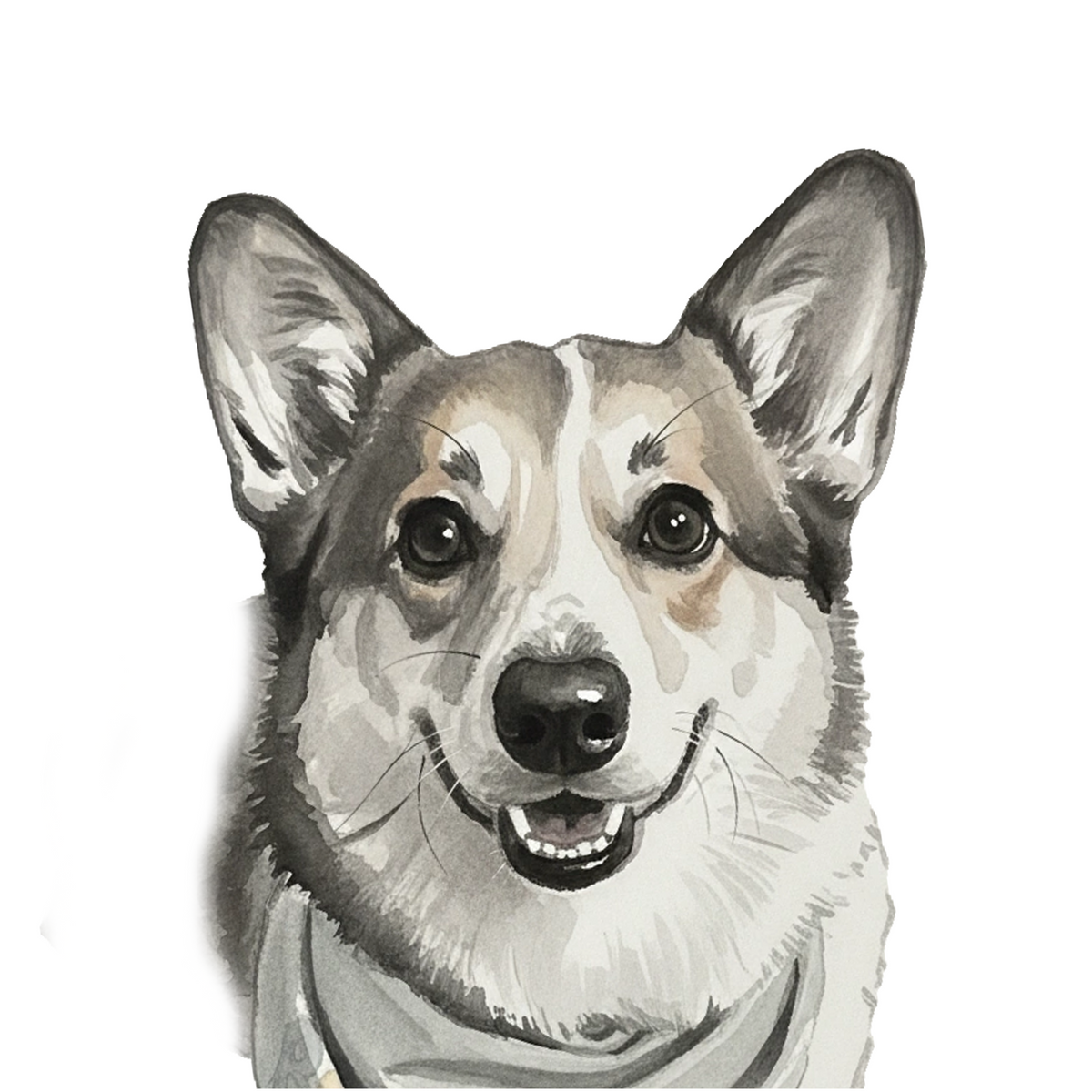 Corgi portrait in Ink Wash