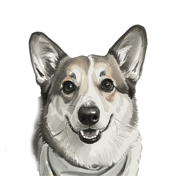 Corgi portrait in Ink Wash style &mdash; custom pet portrait