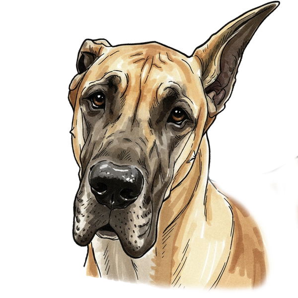 Great Dane portrait in Marker style &mdash; custom pet portrait