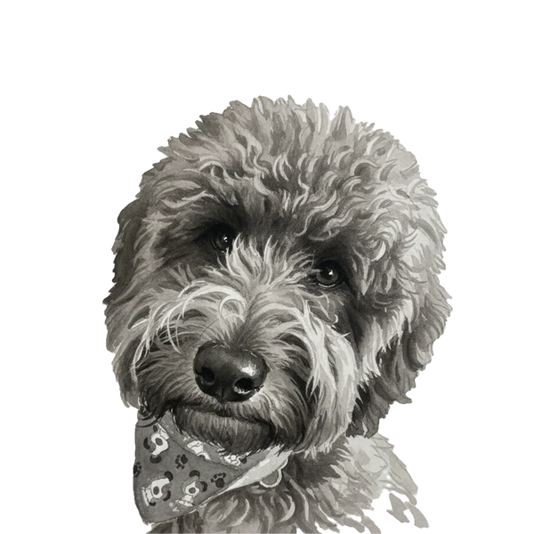 Doodle portrait in Ink Wash style &mdash; custom pet portrait
